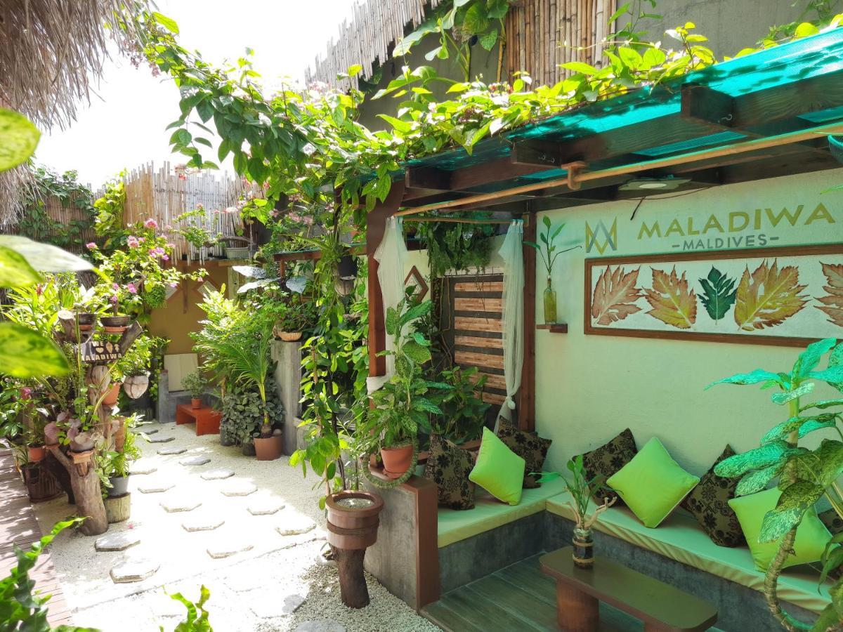 Maladiwa Beach & Spa Maafushi Dış mekan fotoğraf